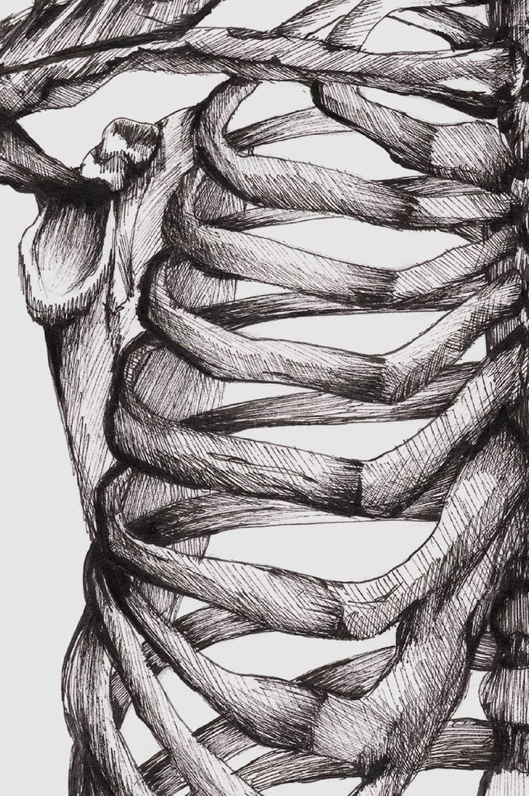 Illustration PRINT « Cage Thoracique » format A4 Image 4