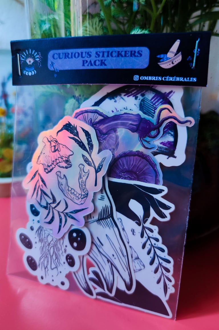 Pack de 6 STICKERS "CURIOUS"