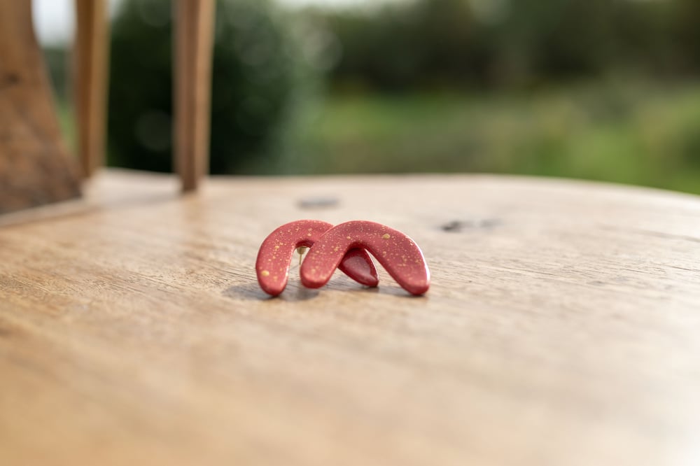 Image of Brincos Lua