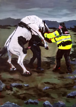 Image of "Garda Neigh"-Print