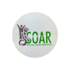 SOAR Logo Sticker