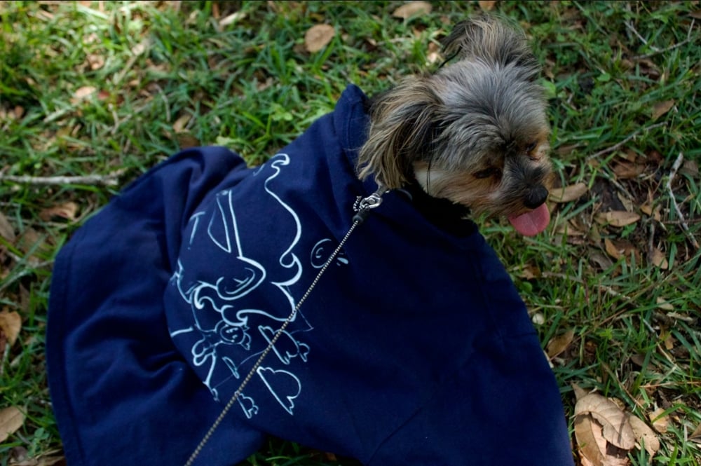 "Me and Buddy" T-Shirt (navy blue and teal)