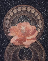 Cosmic Bloom Print