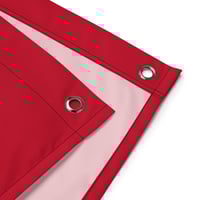 Image 5 of Buffalo Goat Sword Red Flag