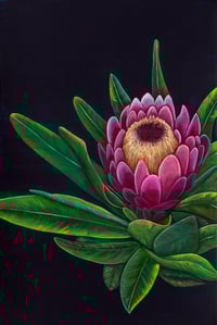 Image 1 of "Protea Bloom" Art Print