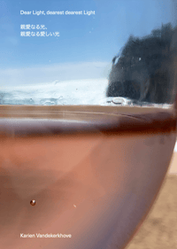 B O O K / 'Dear Light, dearest dearest Light.'