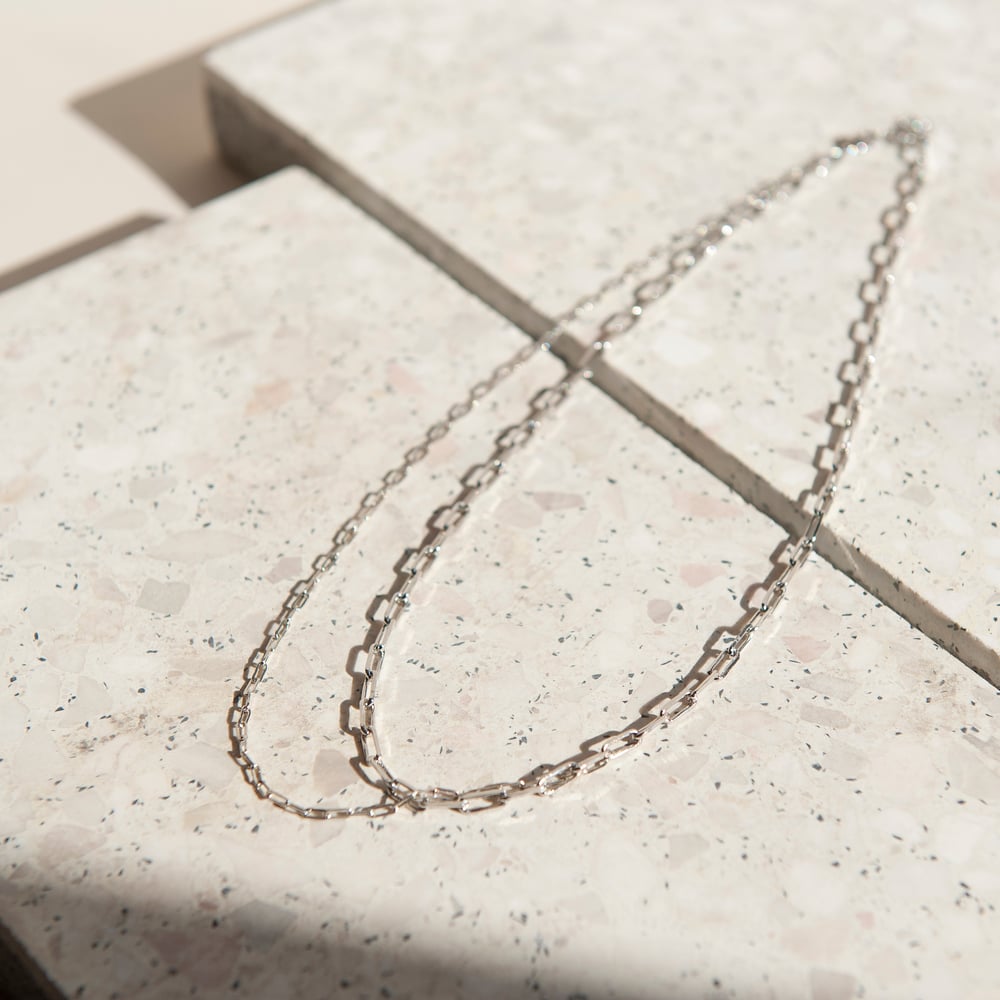 Image of Double rhodium necklace