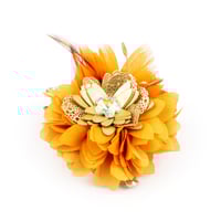 Image 3 of BARRETTE HUA   SOLAIRE