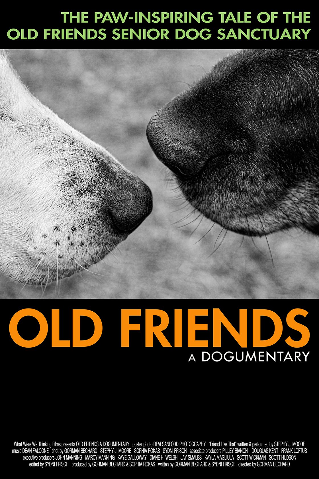 Image of Old Friends, A Dogumentary MOVIE POSTER