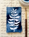 indigo ink botanical no. 4