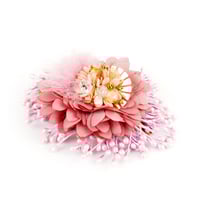 Image 2 of BARRETTE HANAYO   THÉATRAL