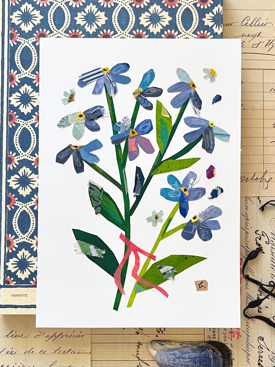 forget-me-not | brandie stonge