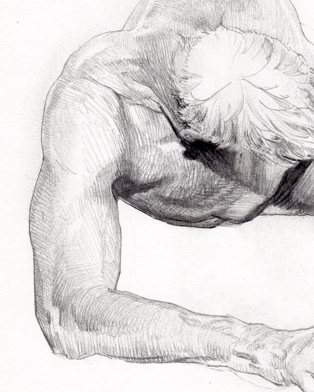 Image of From the Morning