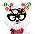 " 'Bing' on a New Year!" New Year's cards (5-pack) 