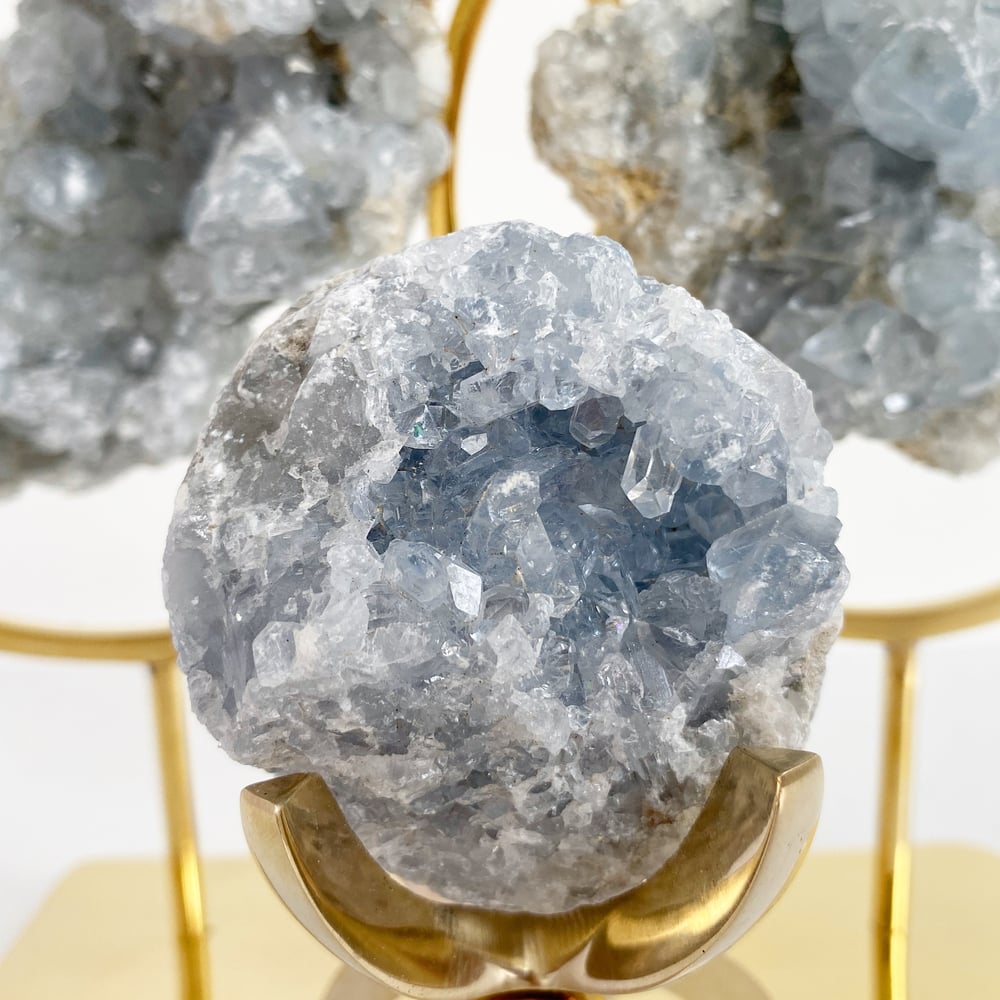 Image of Celestite no.56 + Brass Claw Stand