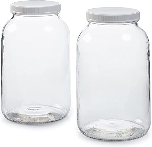 Image of 2-Pack - WIDE MOUTH  ONE GALLON GLASS JUGS/LID