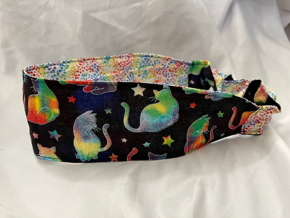 Image of Rainbow Cats Reversible Headband