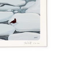Image 2 of The walrus and the polar bear