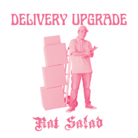 NEXT DAY DELIVERY UPGRADE