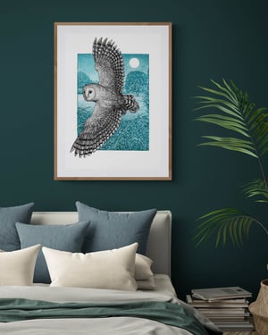 Barn Owl limited edition giclée print