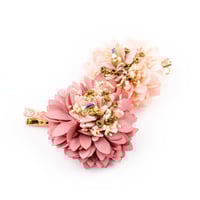 Image 1 of BARRETTE HIKARI  POUDRÉE