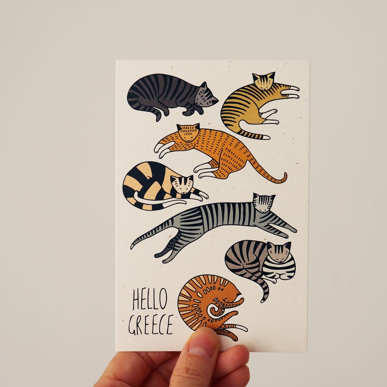 Image of Hello Sleeping Cats - Colour Postcard