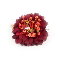 Image 3 of BARRETTE HIKARI CARDINAL
