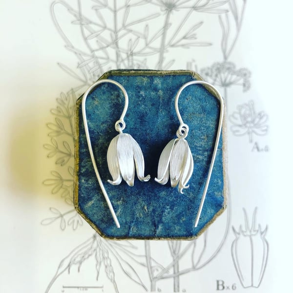 Image of Bluebell earrings