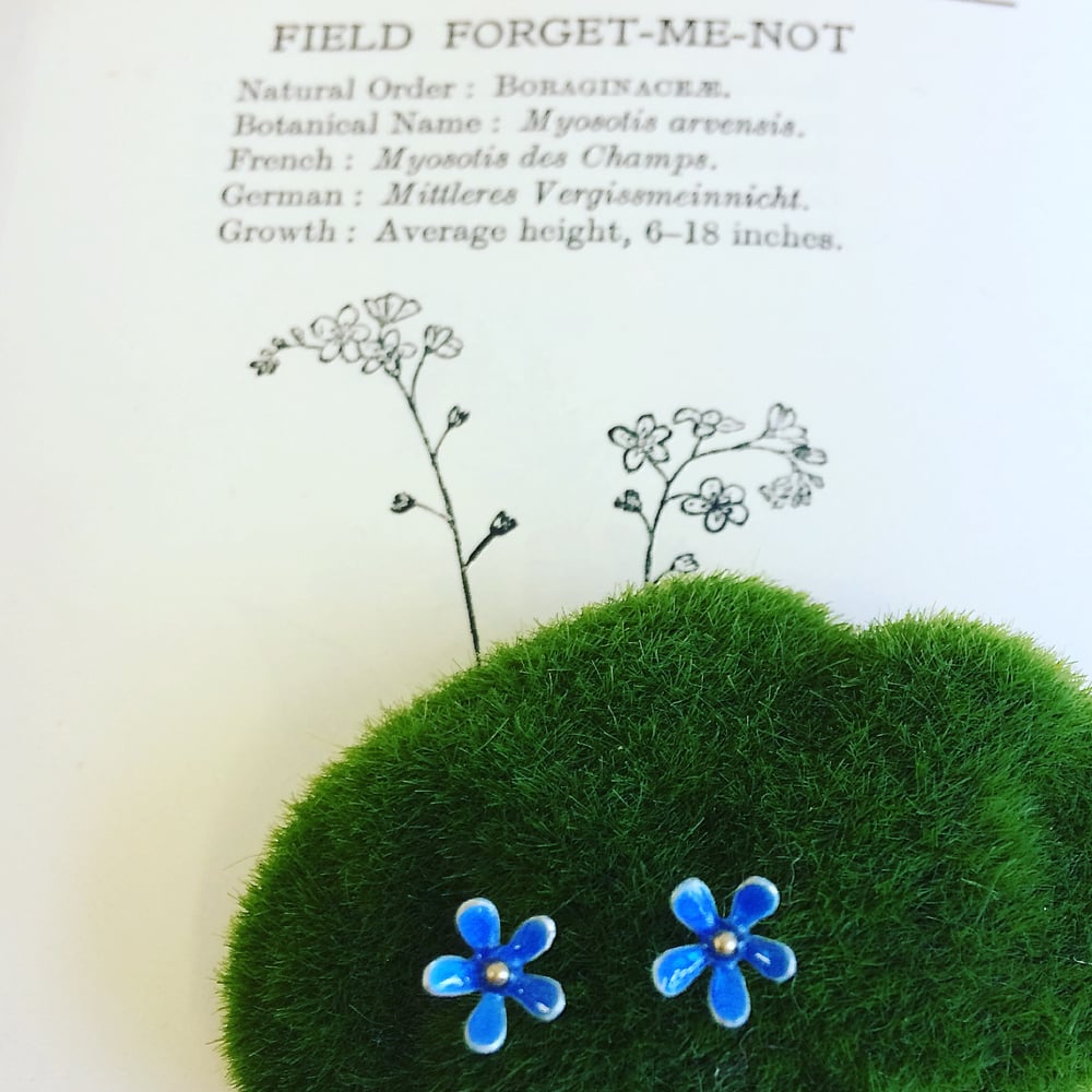 Image of Forget me not earrings