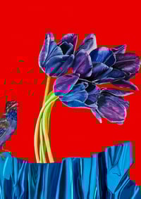 Image 2 of NATURALIA Y ARTIFICIALIA