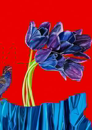 NATURALIA Y ARTIFICIALIA