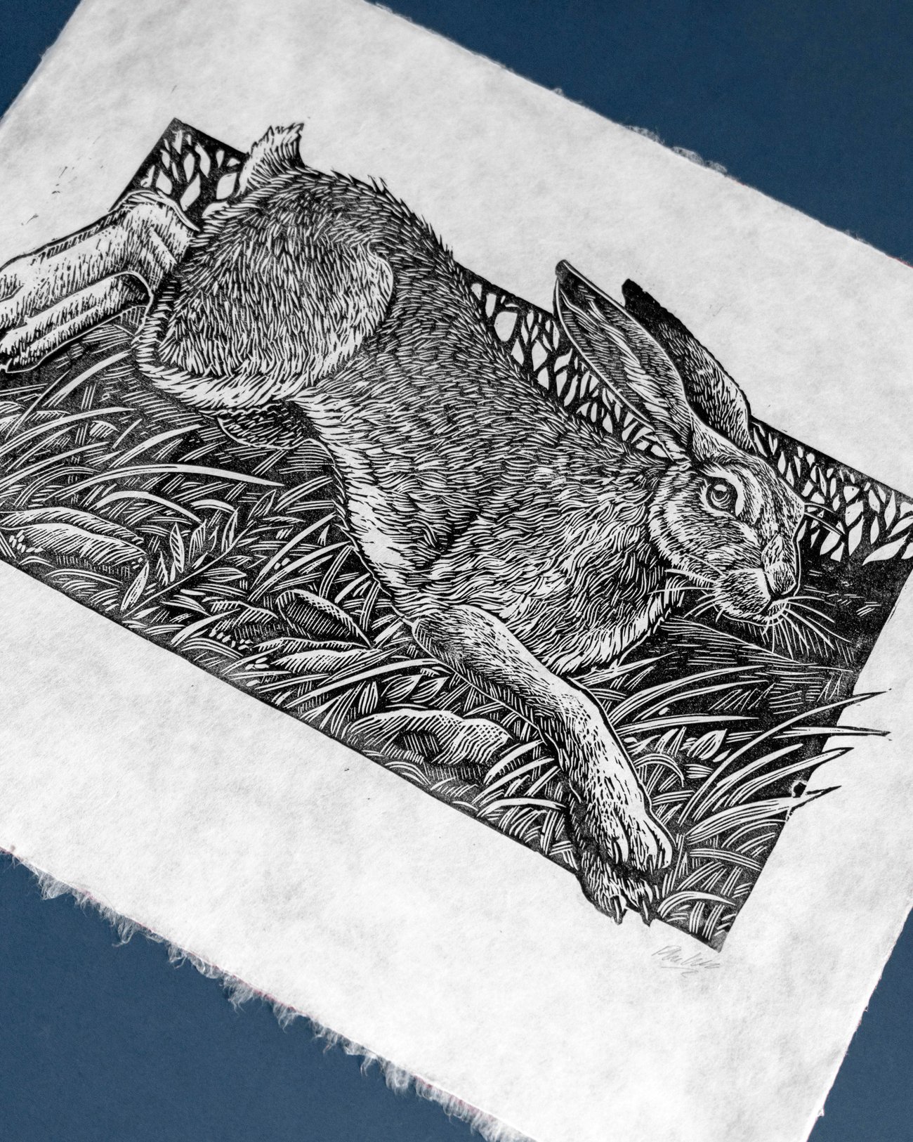 Wild Hare Woodcut Print | Philip Harris Book & Artwork shop