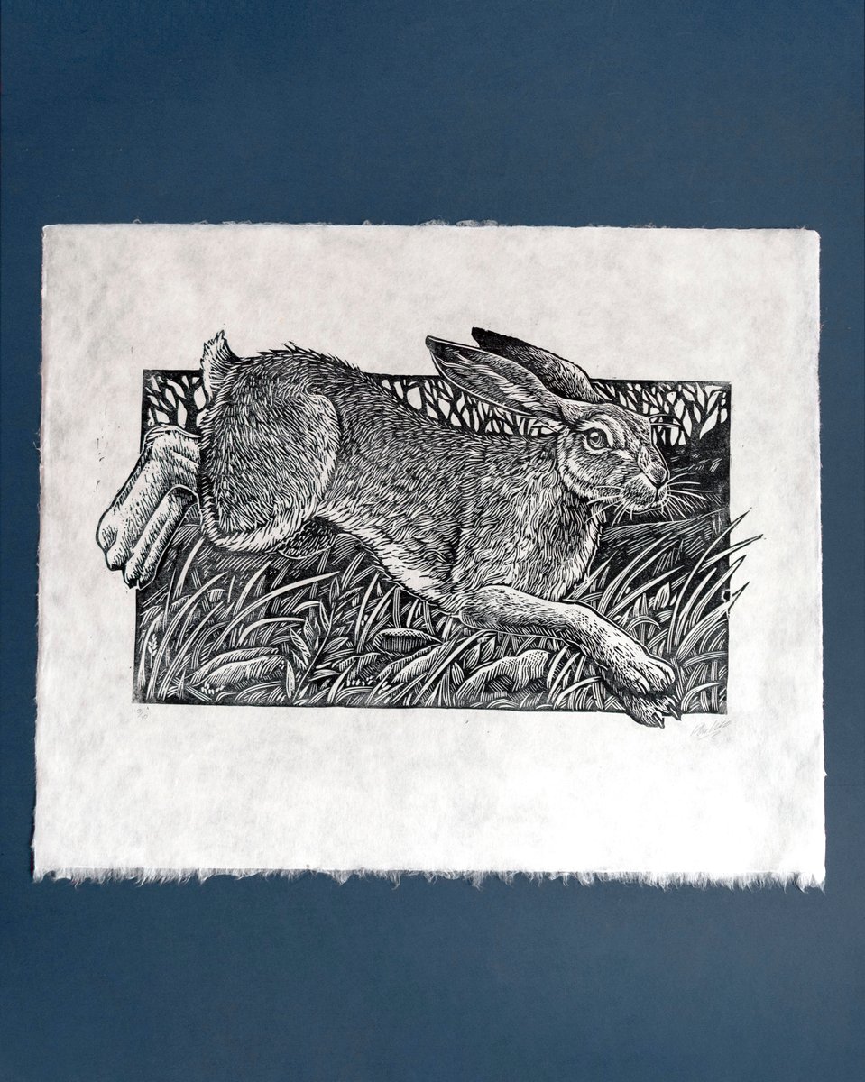 Wild Hare Woodcut Print | Philip Harris Book & Artwork shop