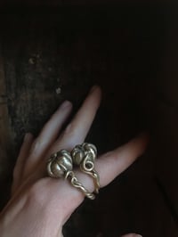 Image 3 of Cinderella pumpkin rings