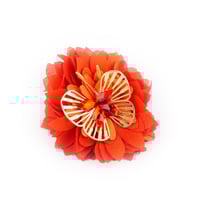 Image 4 of BROCHE SACHI   VITAMINÉE