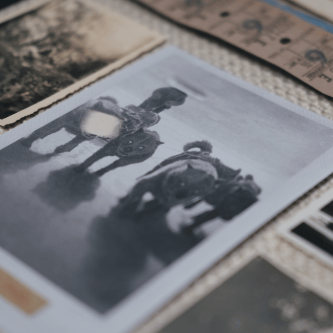 Steve Pacheco - Fades