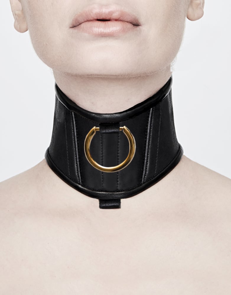 Image of CANICE - LEATHER - POSTURE COLLAR -GOLD D-RING