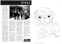 Image 3 of L.T.F.T.F.S. Lost Tapes From The Federal Sessions FANZINE/TAPE