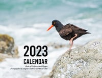 2023 Calendar