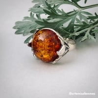 Image 2 of Evergreen Time Machine Amber Ring