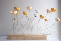 Image 3 of Jardin flottant 