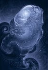 The Anomaly I (Original)