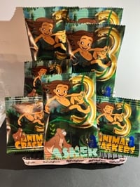 Image 1 of Tarzan Party Favors/Chip Bags/Squad Shirts