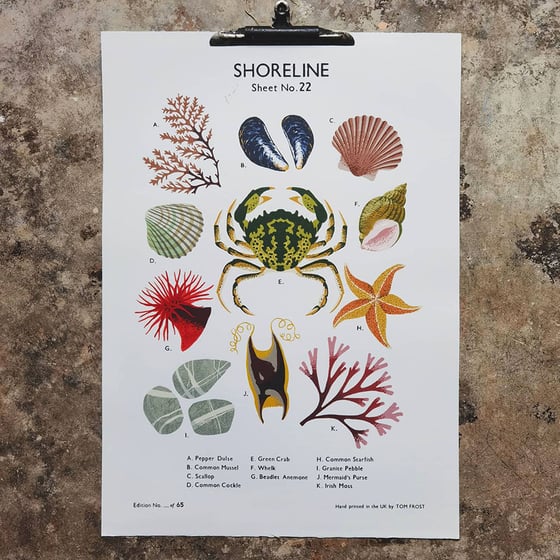 Image of Shoreline School Chart