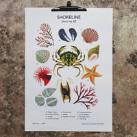 Image 1 of Shoreline School Chart