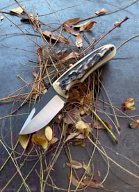 Image 1 of Stag Sportster - 