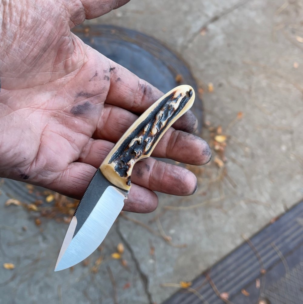 Stag Sportster -