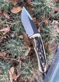 Image 4 of Stag Sportster - 