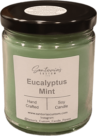Image 1 of Eucalyptus Mint 16 oz