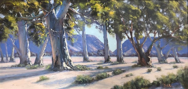 Image of Gums At Honeymoon Gap 